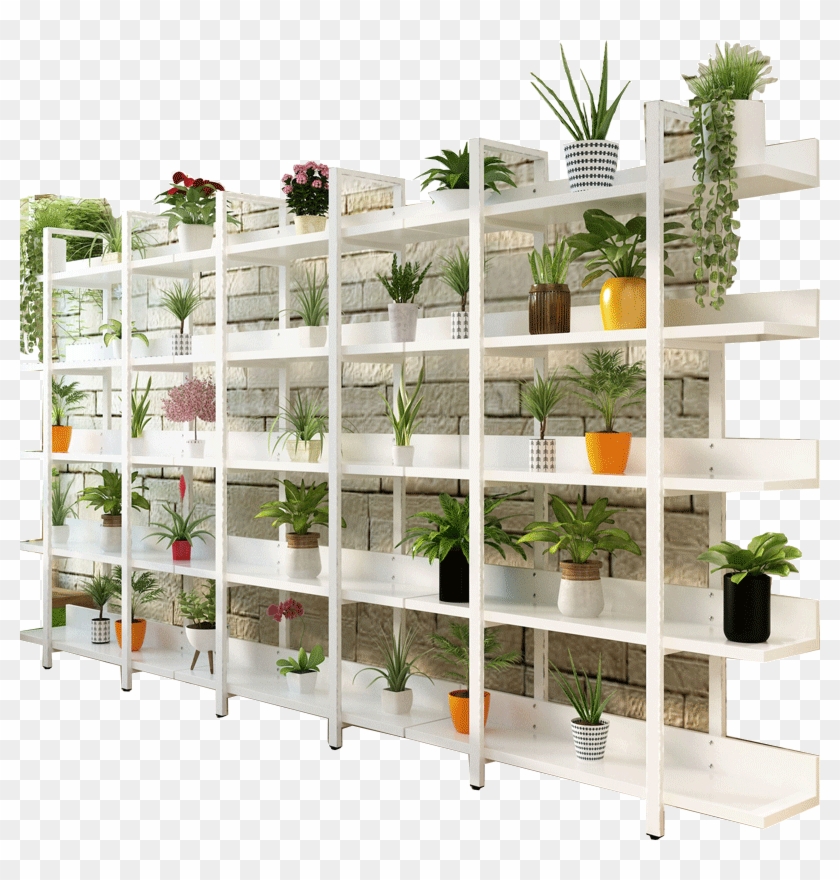 Lightbox Moreview - Shelf Clipart