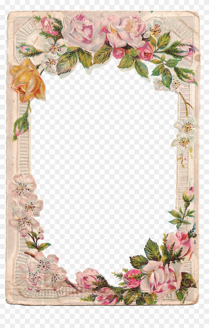 Certificado Para Mailynet Gonzalez Sicologa De Ester - Transparent Vintage Rose Border Clipart
