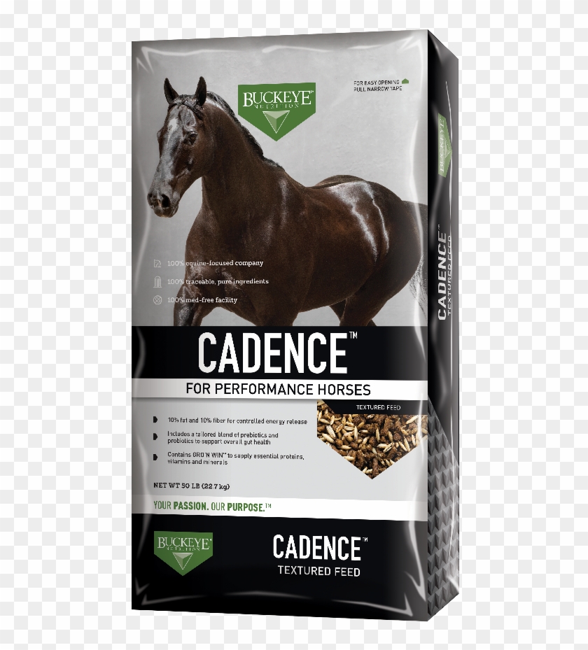 Cadence™ Textured Feed - Feed For Race Horses Clipart #1707924