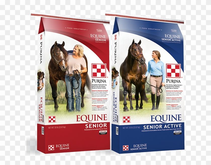 Greatness Never Ages - Purina Equine Senior Clipart