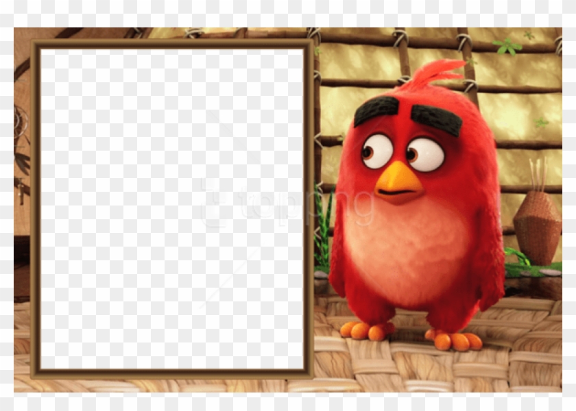 Free Png Best Stock Photos Angry Birds Movie Kids Png - Angry Bird Photo Frame Clipart