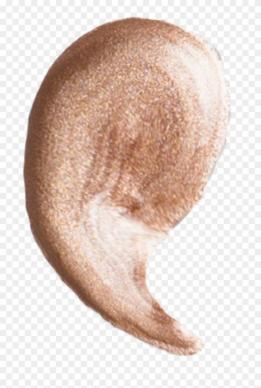 2709 X 2708 4 - Snout Clipart