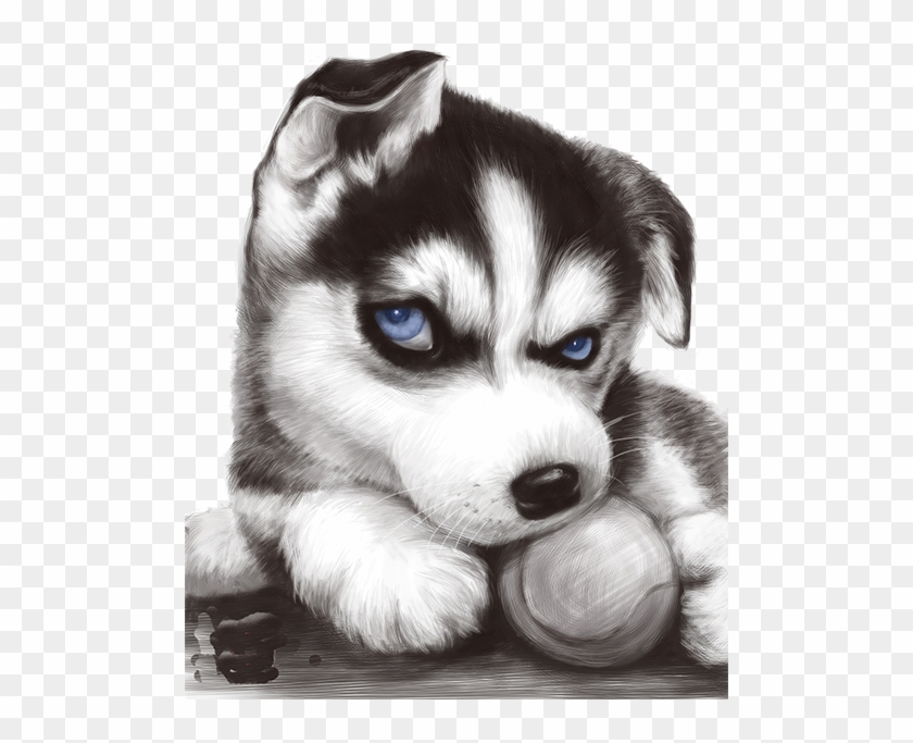 T Shirt Jd Com Taobao Tshirt Jdcom - Blued Eyed Black Pug Puppies Clipart