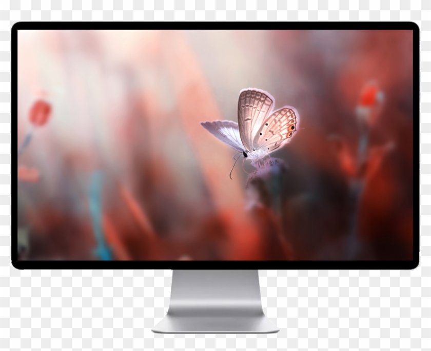 Score 50% - Hd Бабочки Clipart