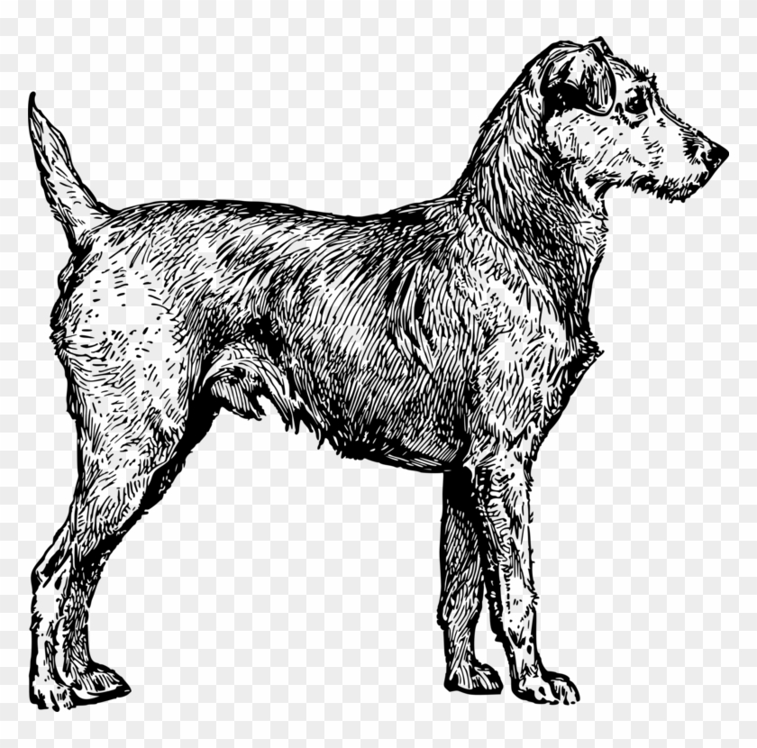 Irish Wolfhound Irish Terrier Yorkshire Terrier Siberian - Black Irish Terrier Png Clipart #1709197