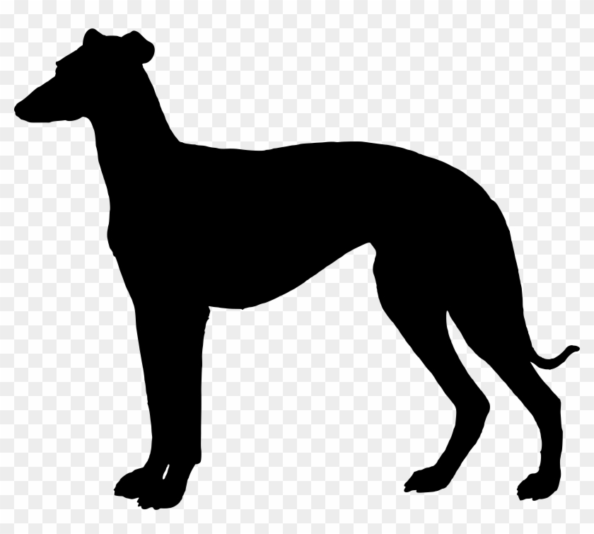 Bulldog Clipart Greyhound - Greyhound Clipart - Png Download #1710334