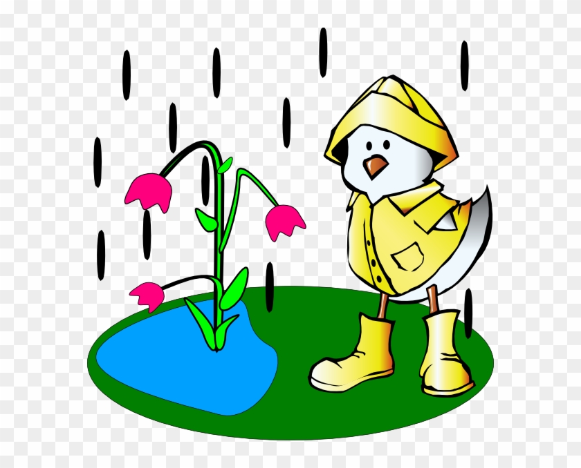 Mandarin Duck Clipart Money - Duck In Rain Boots Clipart - Png Download