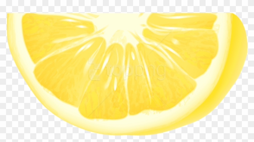 Free Png Piece Of Lemon Png - Close-up Clipart #1711023