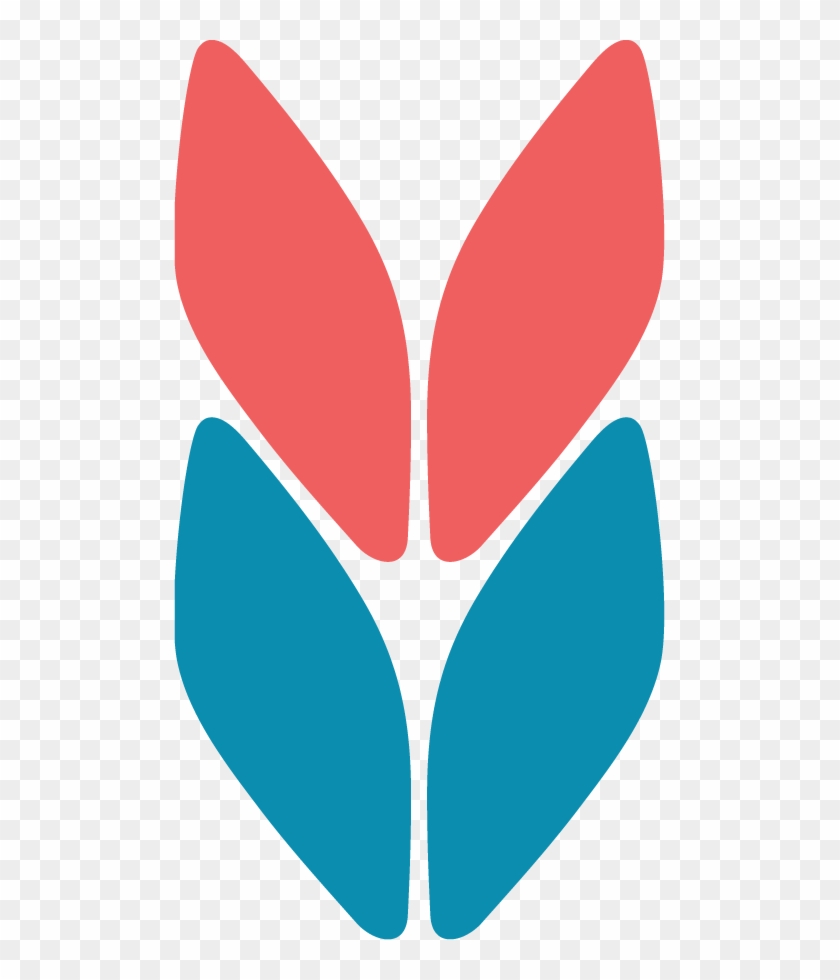 Fancywork Yarn Shop Clipart