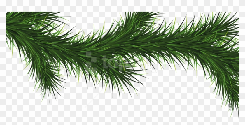 Free Png Fir Tree Png Images Transparent - Transparent Christmas Tree Branch Clipart #1712579