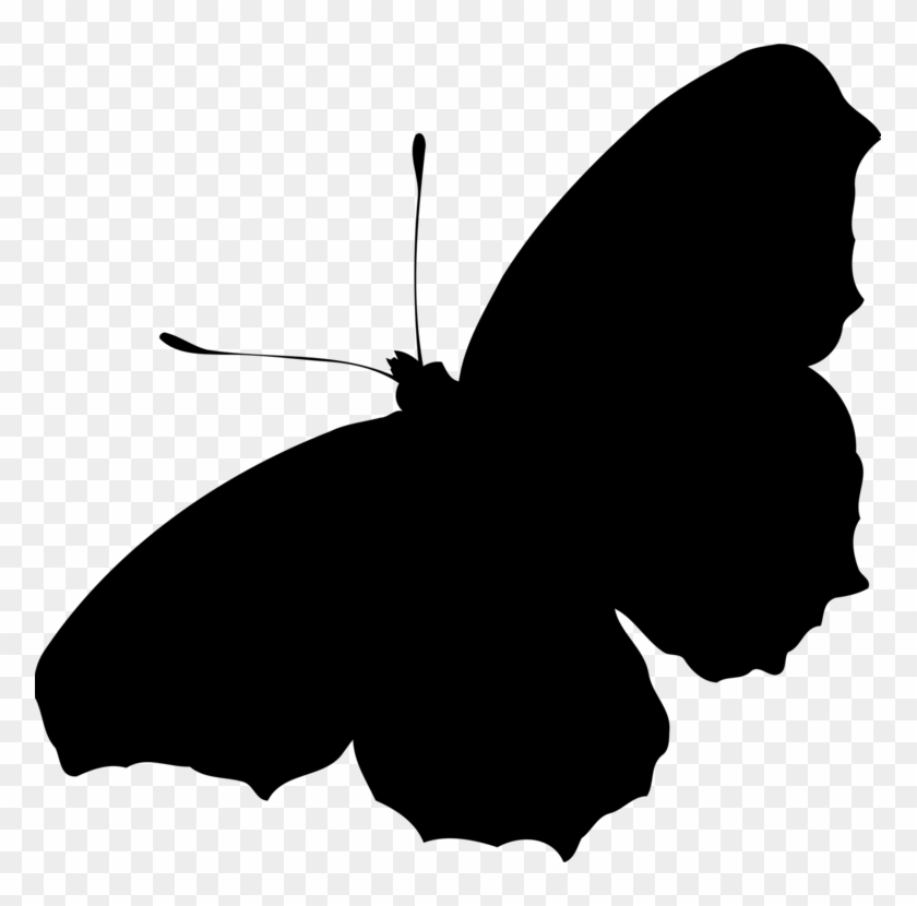 Butterfly Silhouette Inachis Io Drawing - Butterfly Silhouette Png Clipart #1712821