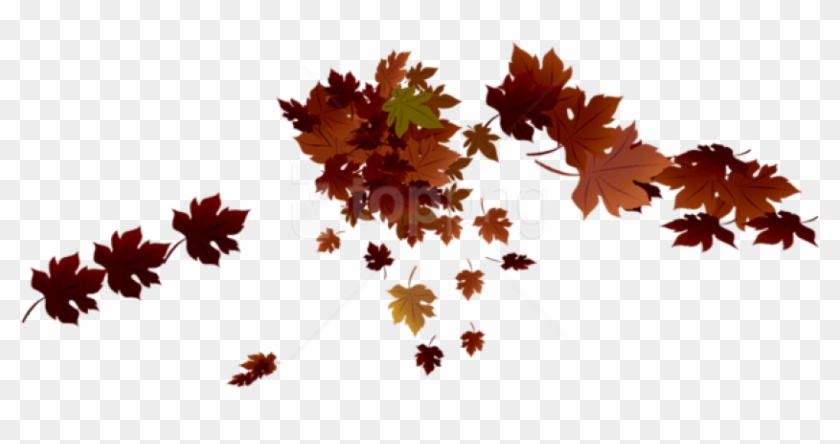 Free Png Transparent Red Fall Leaves Png Images Transparent - Red Fall Leaves Png Clipart