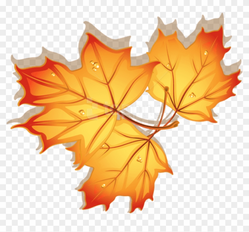 Free Png Download Autumn Leaves Clipart Png Photo Png - Autumn Leaves Dibujo Transparent Png