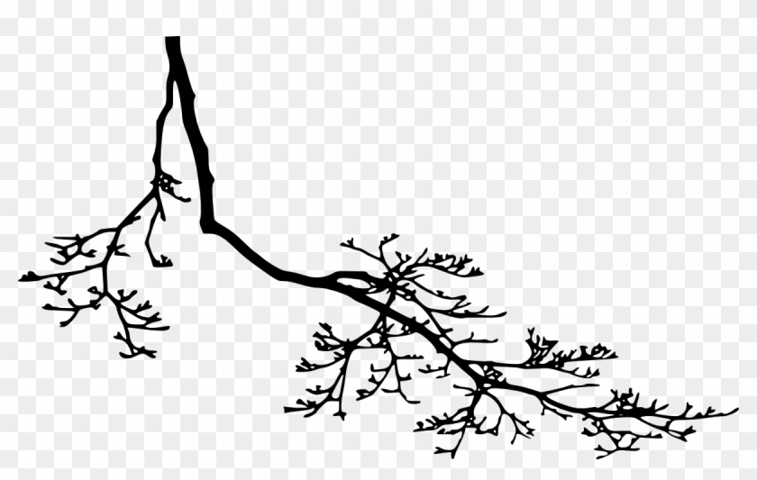 12 Tree Branch Silhouette Png Transparent Vol - Branch Silhouette Clipart #1713555
