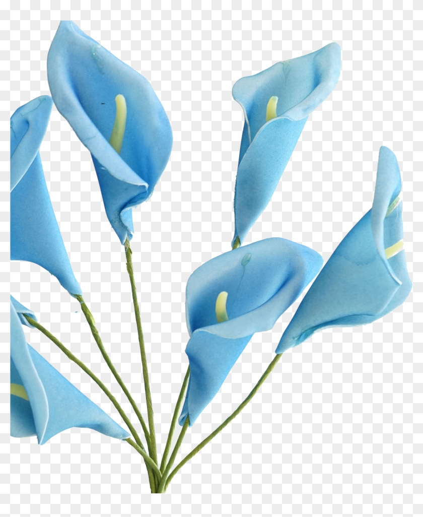 Calla Lily Png - Lily Clipart