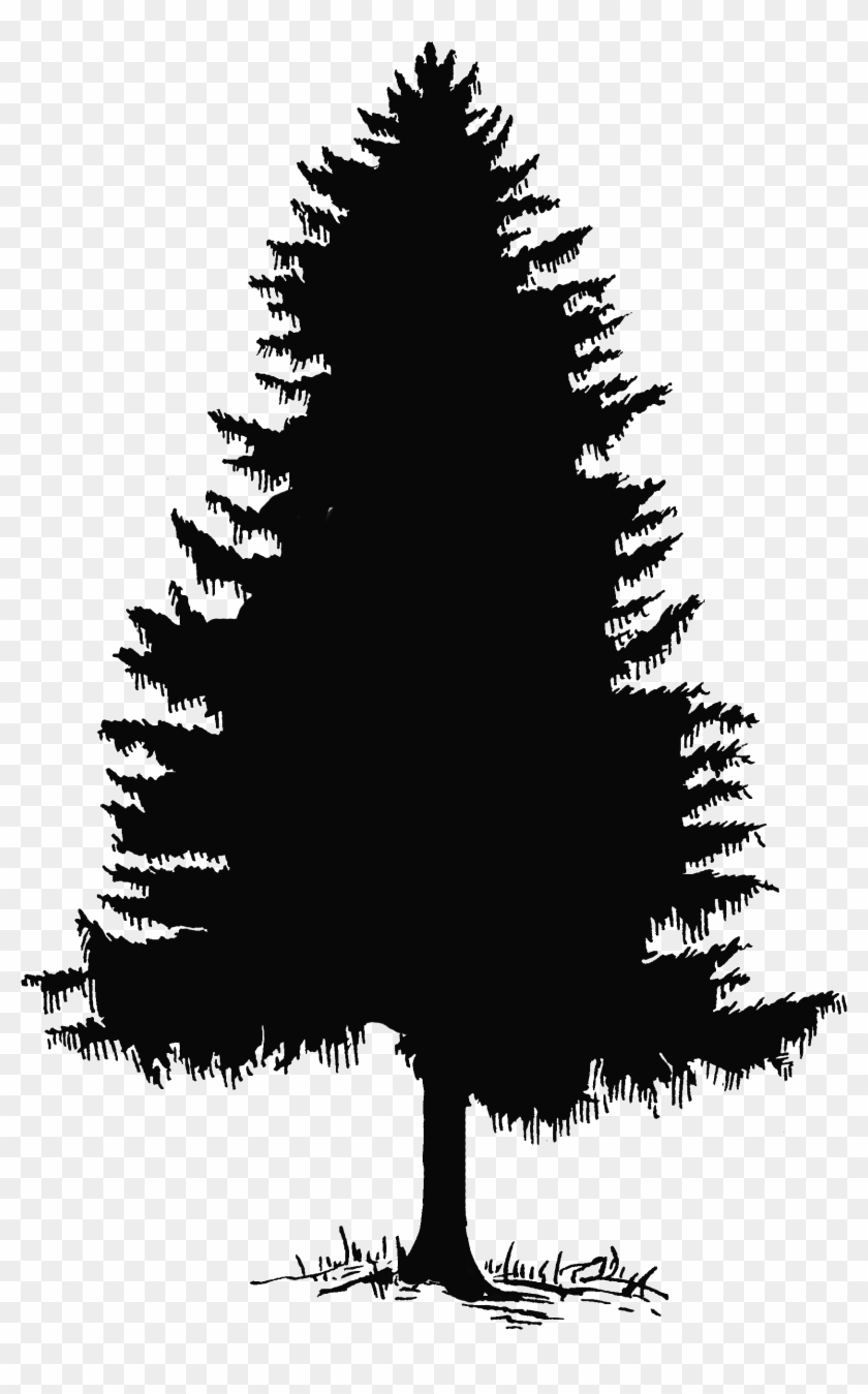 Pine Trees Silhouette - Washington State Pine Tree Clipart