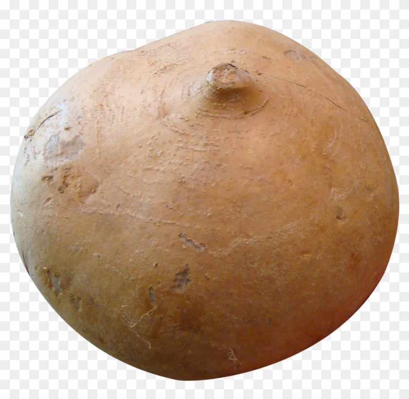 Jicama Png Image Clipart