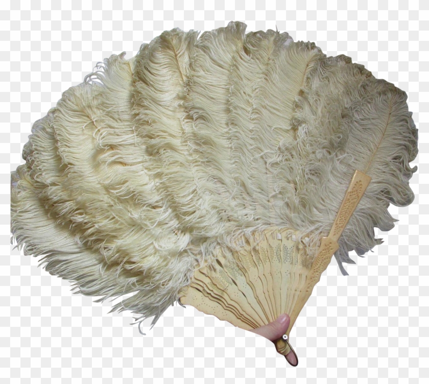 Victorian Edwardian Ladies Ostrich Clipart #1714291