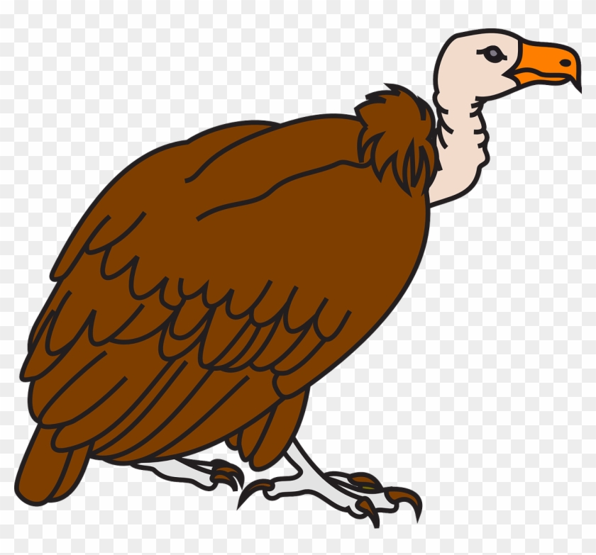 Big Brown Vulture Svg Clip Arts 600 X 531 Px - Png Download #1714512