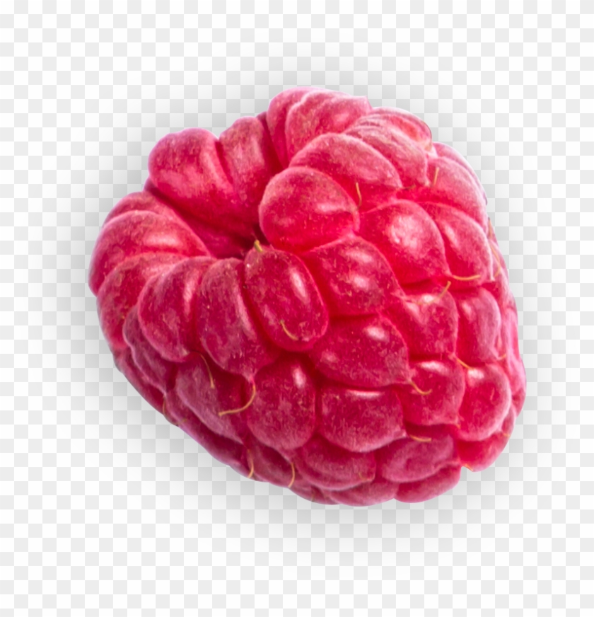 Also, May Contain Other Nuts, Peanuts And Milk - Wine Raspberry Clipart