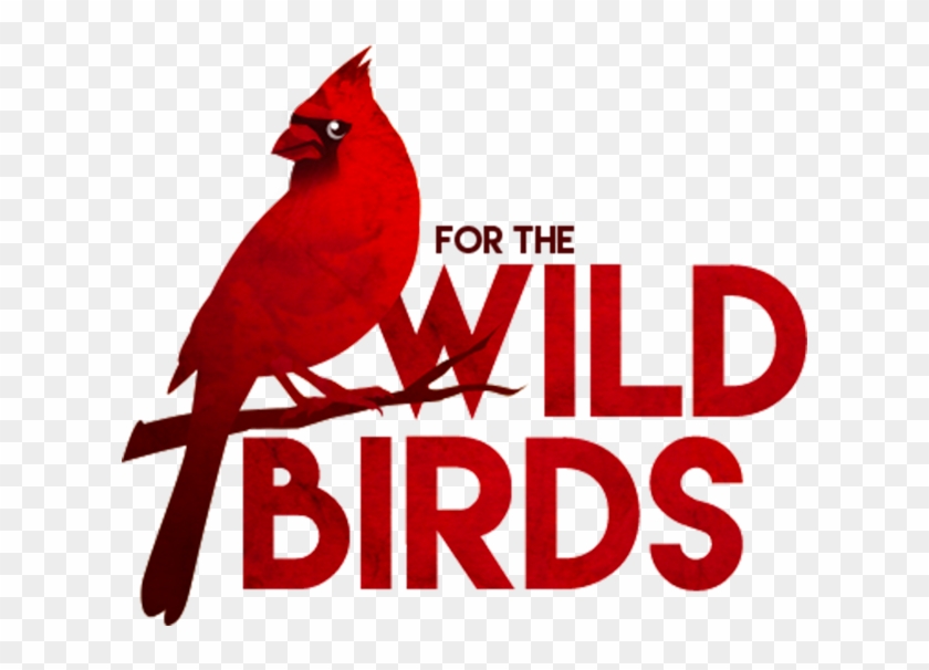 Your Backyard Bird Specialists - Bird Wild Clipart #1714603