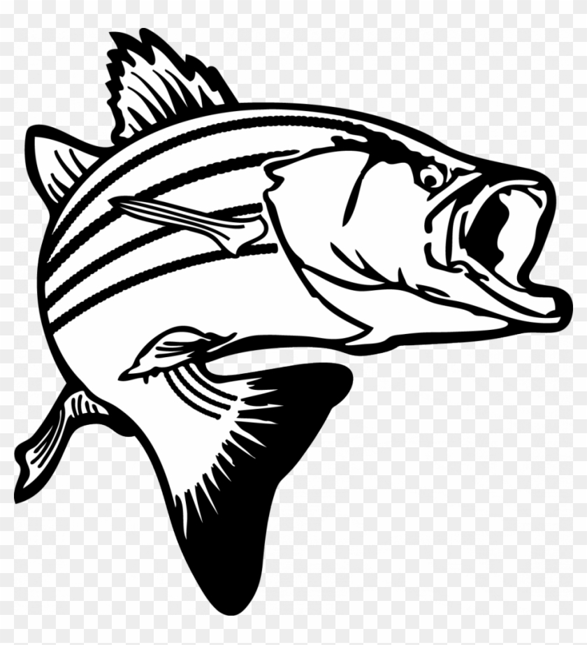 Salmon Clipart Raw Fish - Black And White Bass - Png Download #1715674
