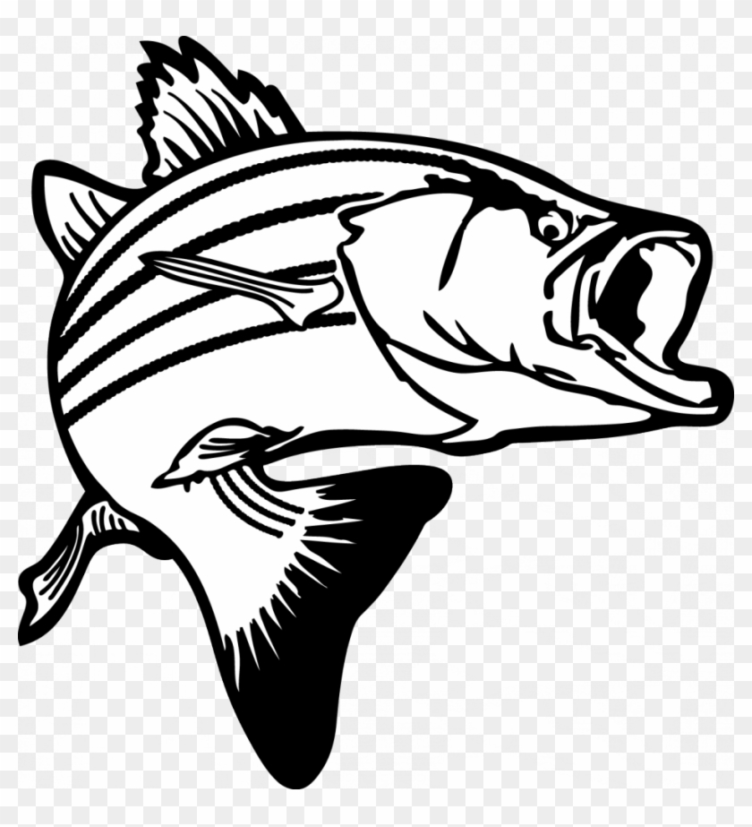 Salmon Clipart Raw Fish - Black And White Bass - Png Download
