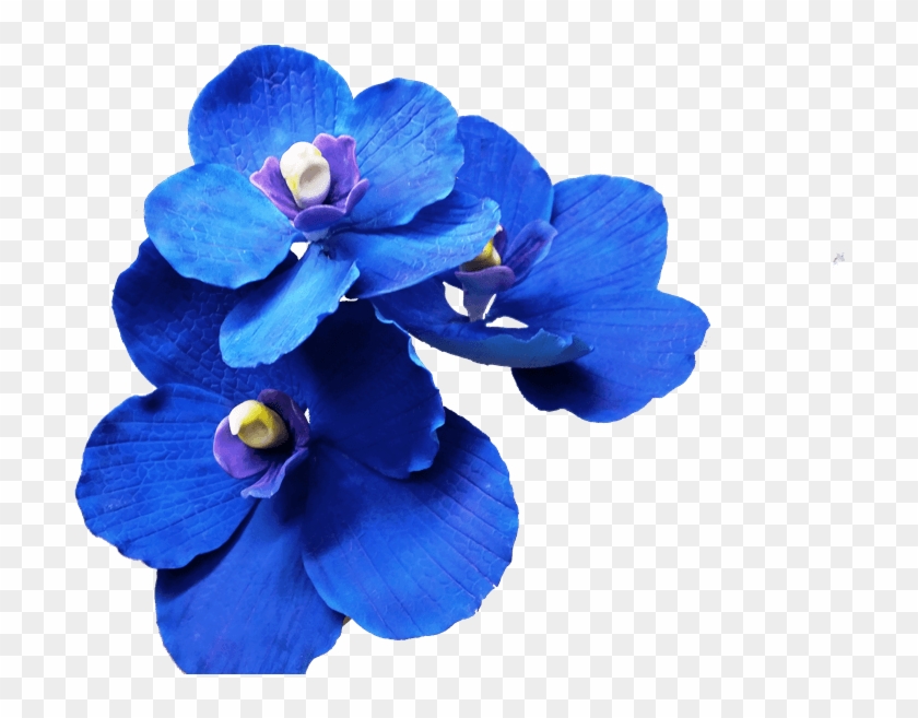 Dark Blue Flowers Transparent Clipart
