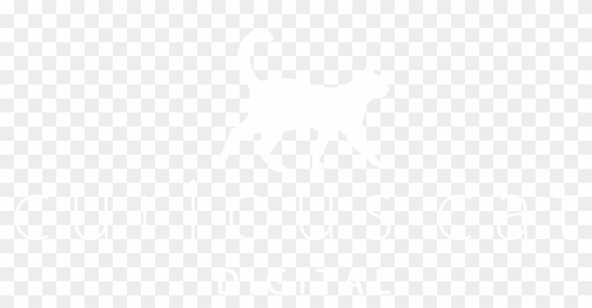 Curiouscatwhite - Close Icon Png White Clipart #1717120