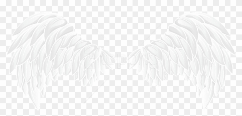Free Png White Wings Png Images Transparent - White Wings Png Clipart #1717372