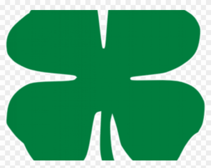 Picture 4 Leaf Clover - Shamrock Clipart