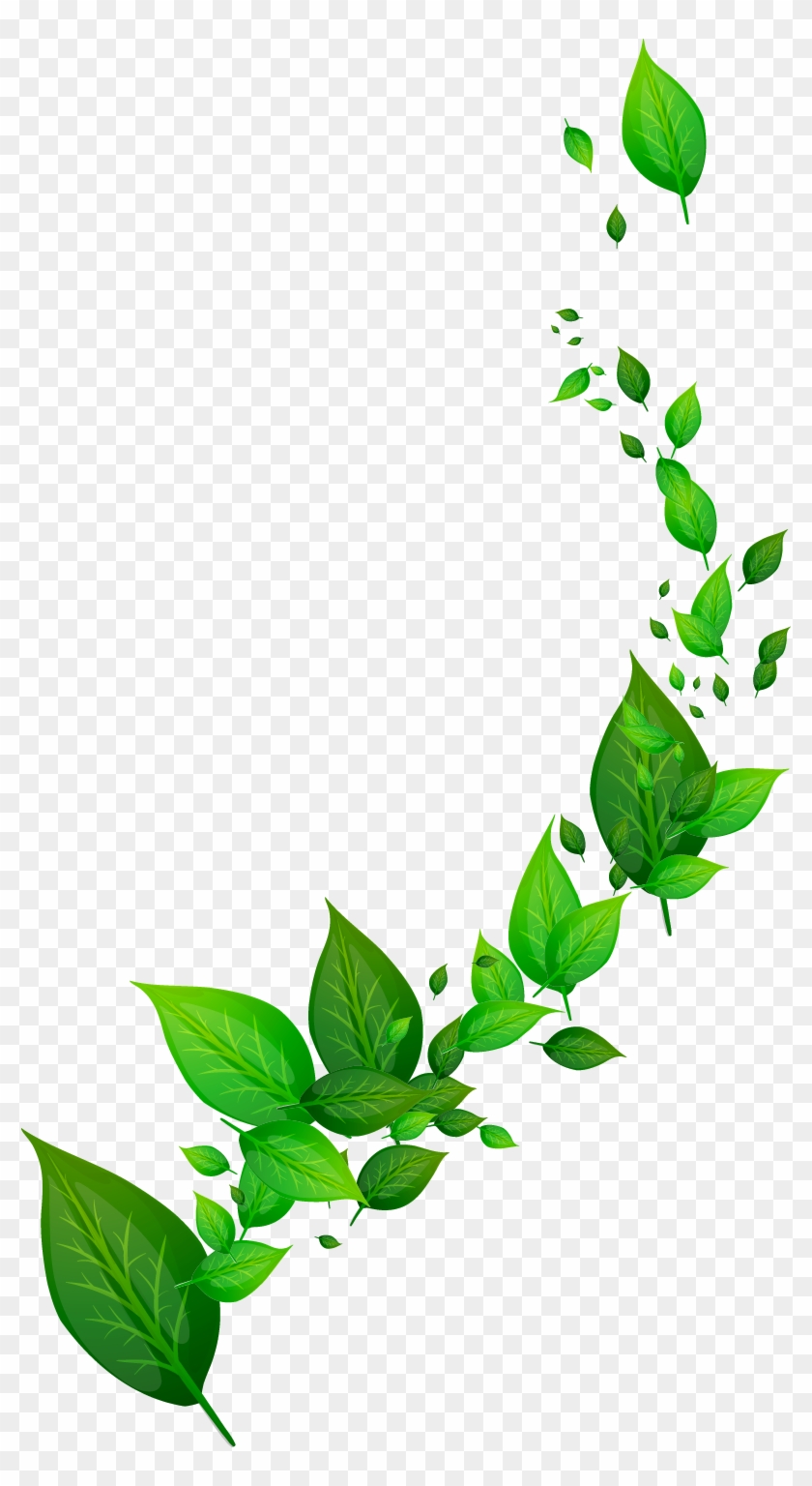 Leaf Dynamic Free Frame Clipart - Nombres Creativos Para Shampoo - Png Download