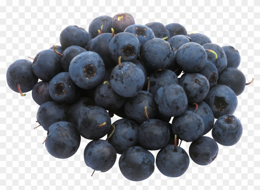 Blueberry Clipart