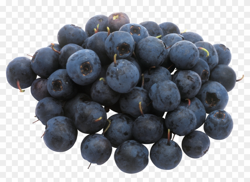 Blueberry Clipart #1717901