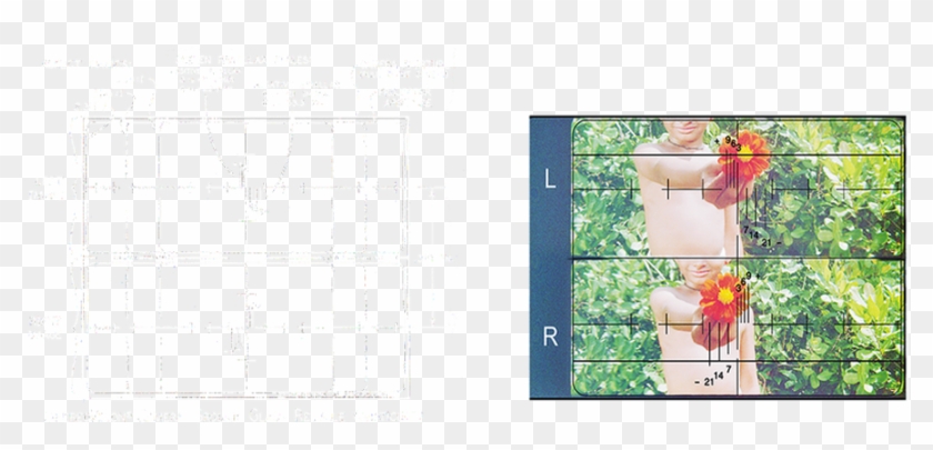 Reticle - Garden Roses Clipart