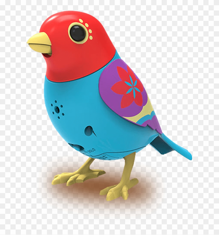 Bird01 - Bird Toy Png Clipart