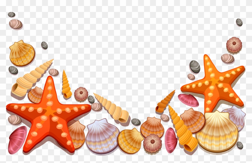 Nautical Christmas Clipart - Sea Shells Vector Png Transparent Png #1719370