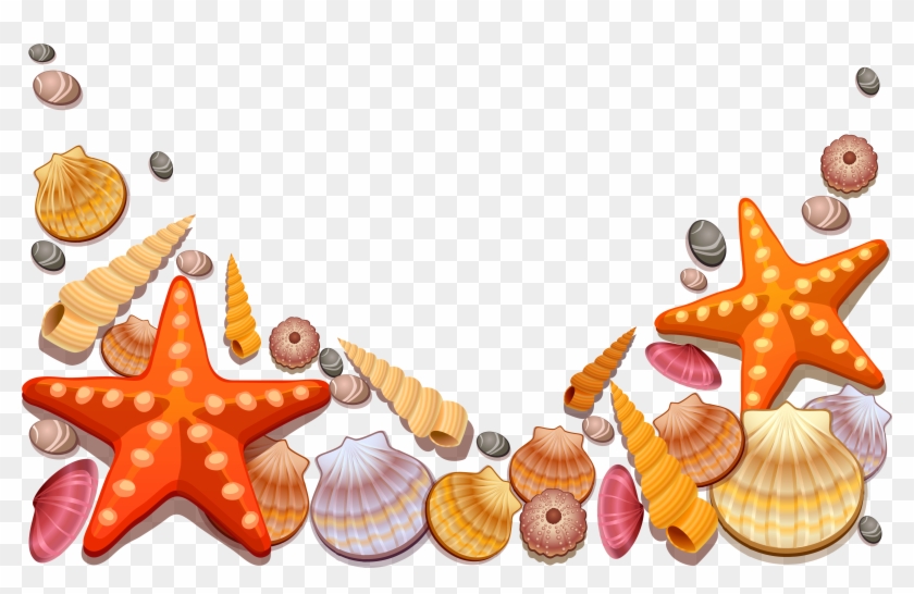 Nautical Christmas Clipart - Sea Shells Vector Png Transparent Png