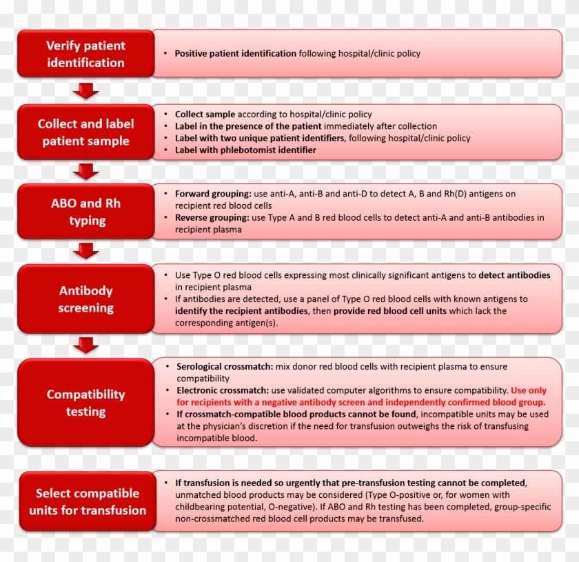 Cgtt Ch8 Fig2 Summary - Pretransfusion Testing Clipart