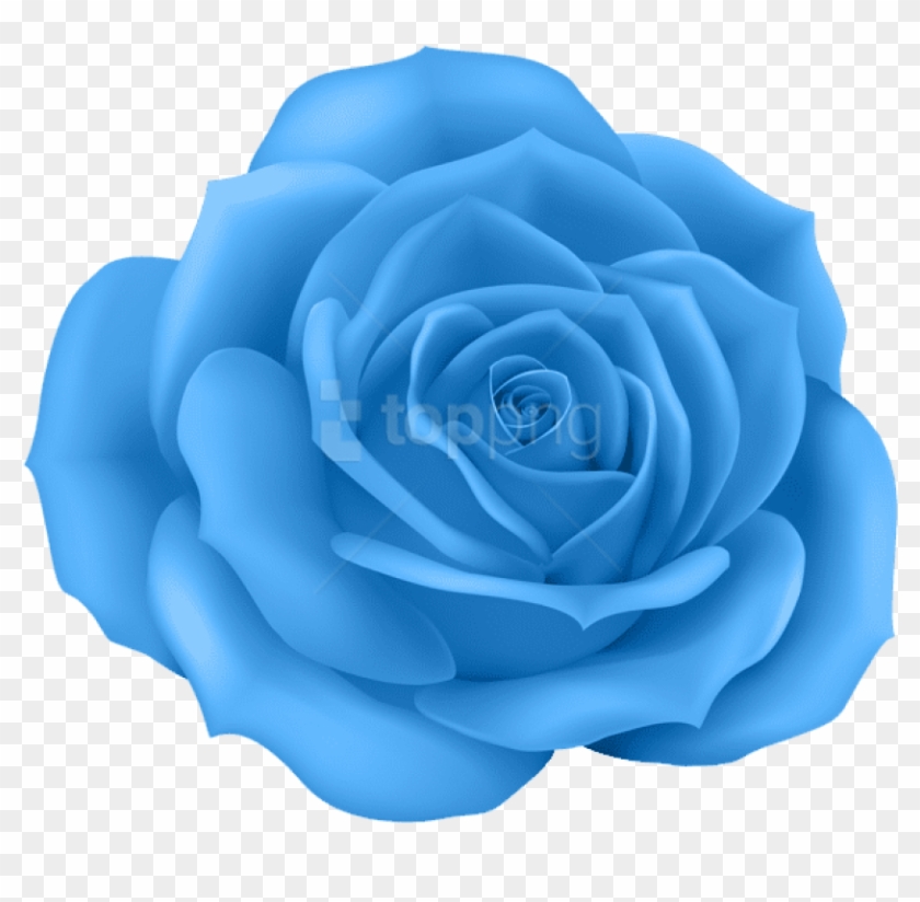 Free Png Download Rose Blue Png Images Background Png - Rose Png Clipart