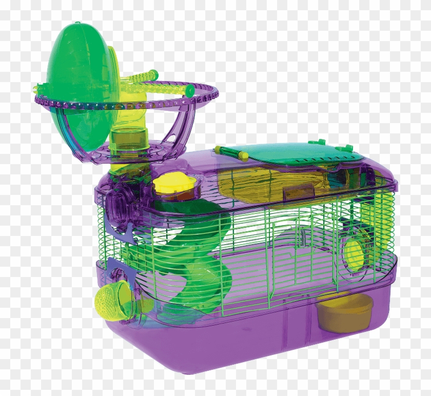 750 X 750 2 - Hamster Clipart #1721545