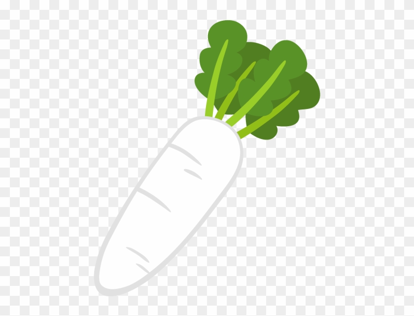 Daikon Clipart