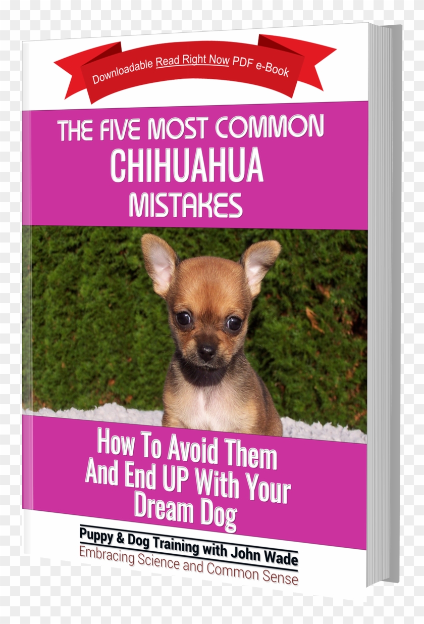 Ask The Dog Guy - Companion Dog Clipart