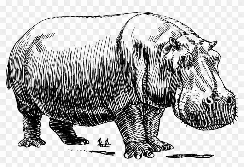 Do You Prioritise Like A Hippo - Black And White Hippo Clipart #1723119
