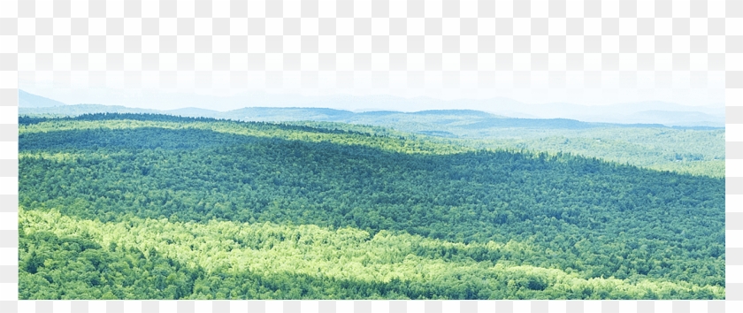 Footer Bg - Field Clipart