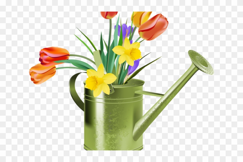 Daffodils Clipart Different Flower - Tulip Daffodil Clipart - Png Download