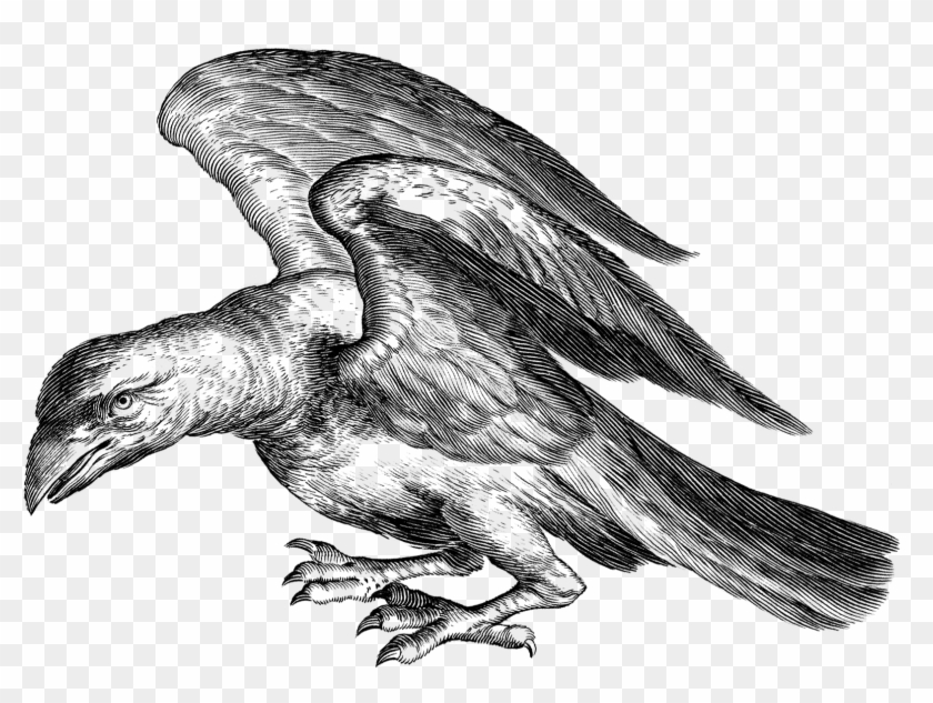 Ancient Greek Mythology Vulture , Png Download - Apollo's Crow Clipart
