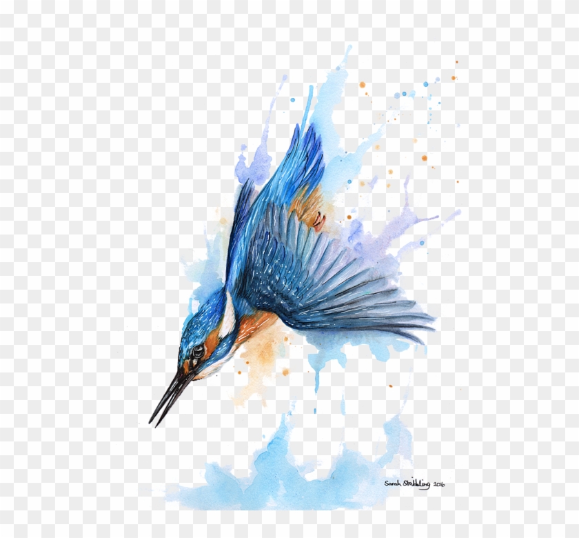 503 X 700 1 - Diving Kingfisher Illustration Clipart #1724771