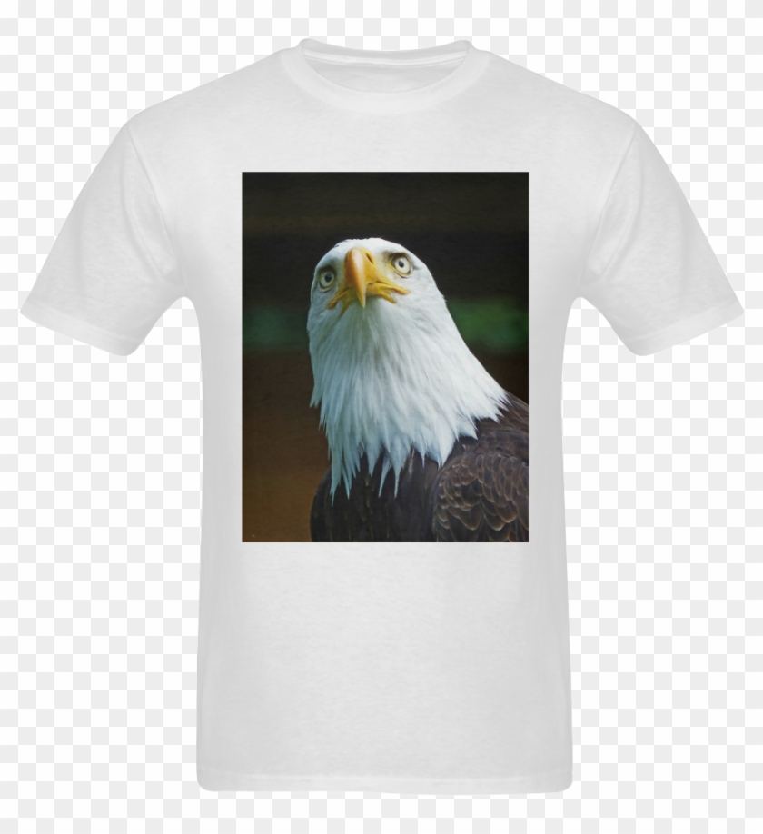 American Bald Eagle Head 001 01 Sunny Men's T- Shirt - Bald Eagle Clipart #1726418
