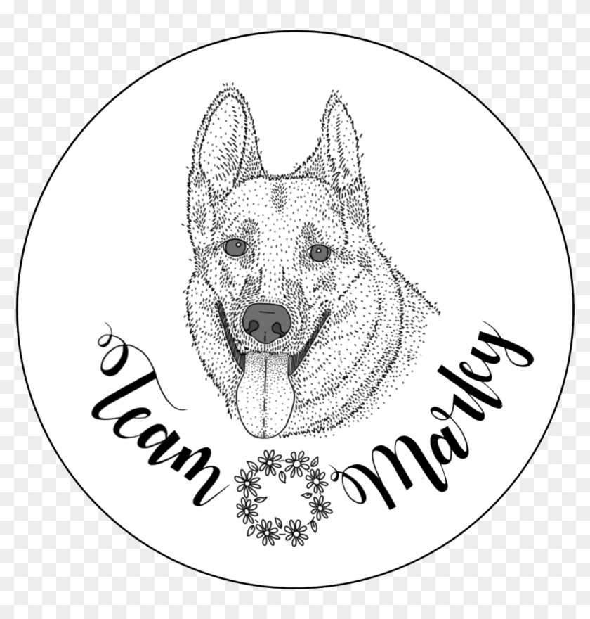 I Drew The Site Dogs Of - Kishu Clipart